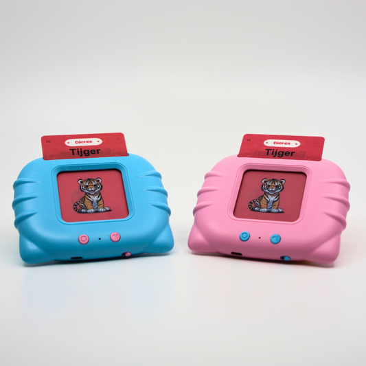 Wat Is De Taalbuddy?