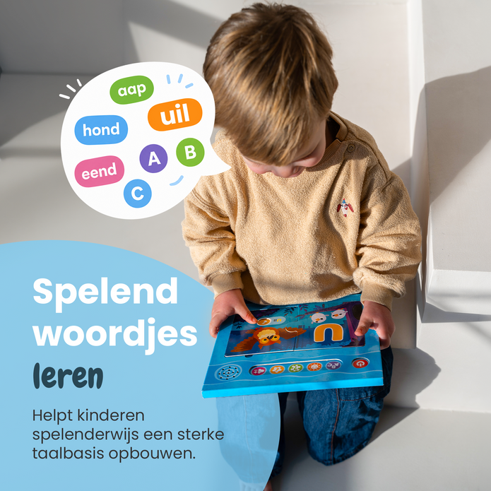 De Taalbuddy Puzzelvariant