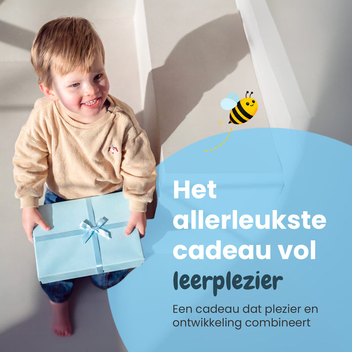 De Taalbuddy Puzzelvariant